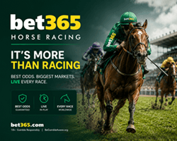 bet365 horse racing